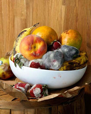 Old Fruit by Roe Ethridge